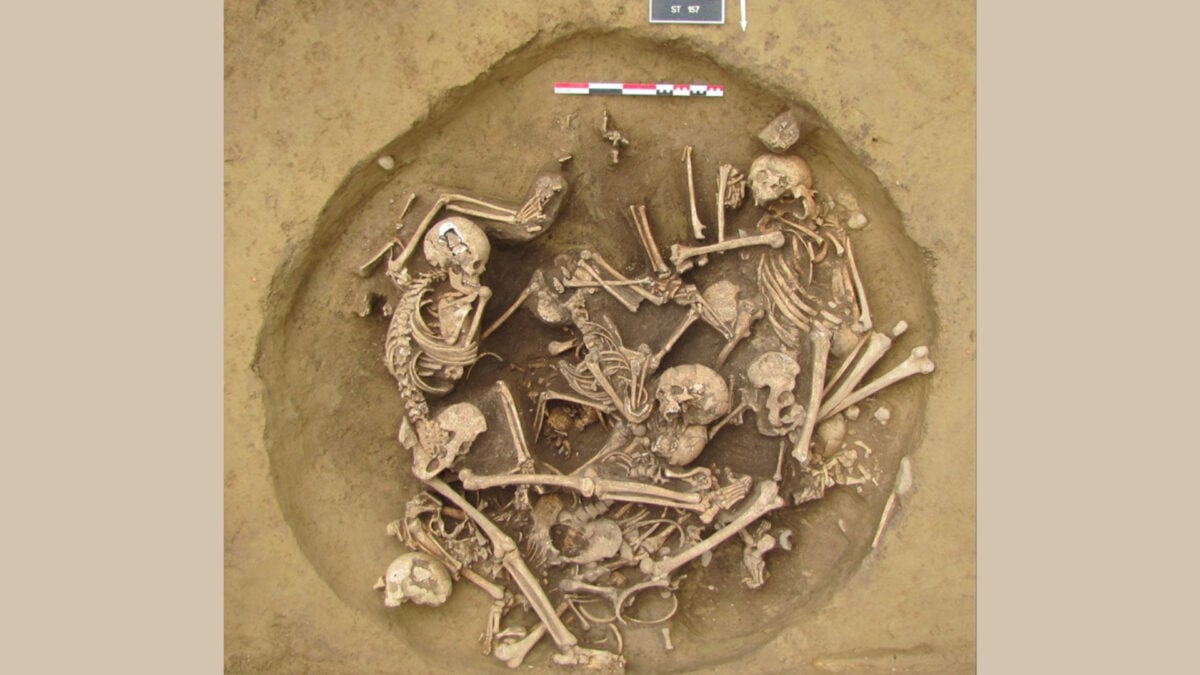 Unveiling Stone Age Warfare: A Brutal Past