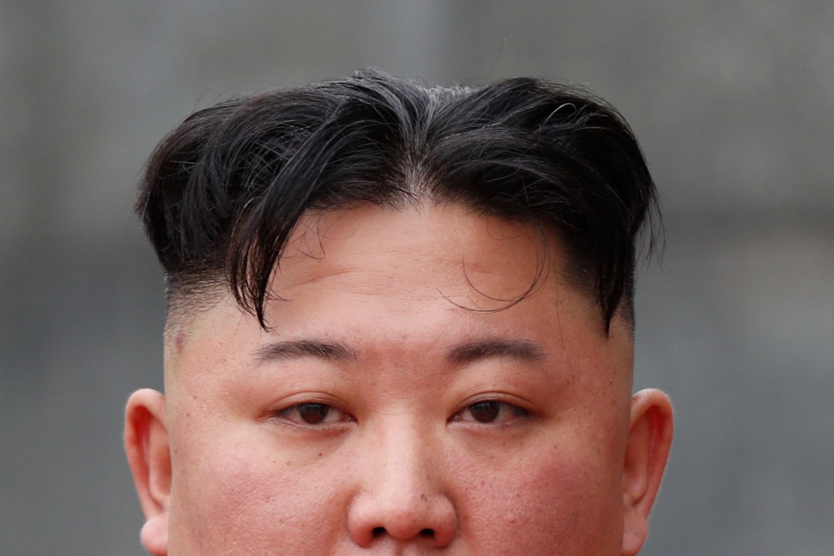 Unveiling North Korean Hacker: The Inside Story of Hacktivist Motivations